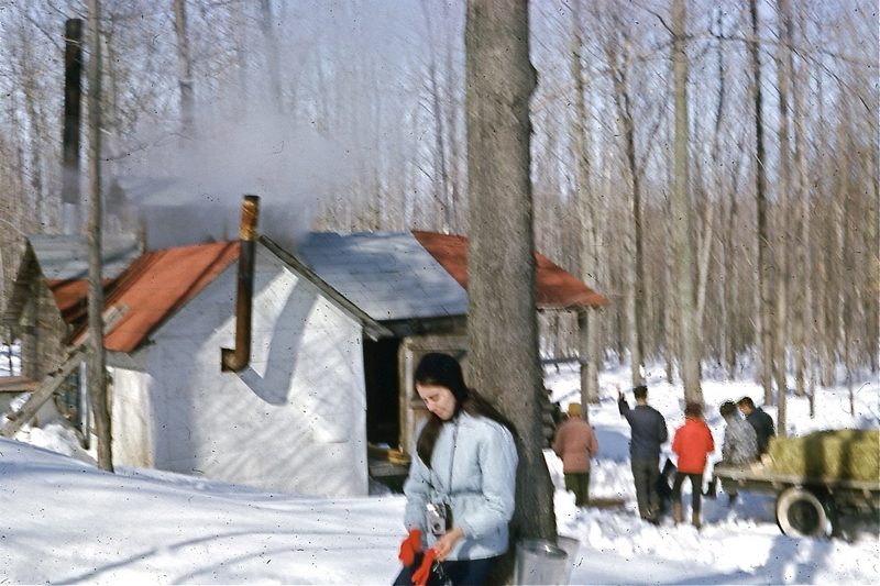 Cabane familiale des années 1960