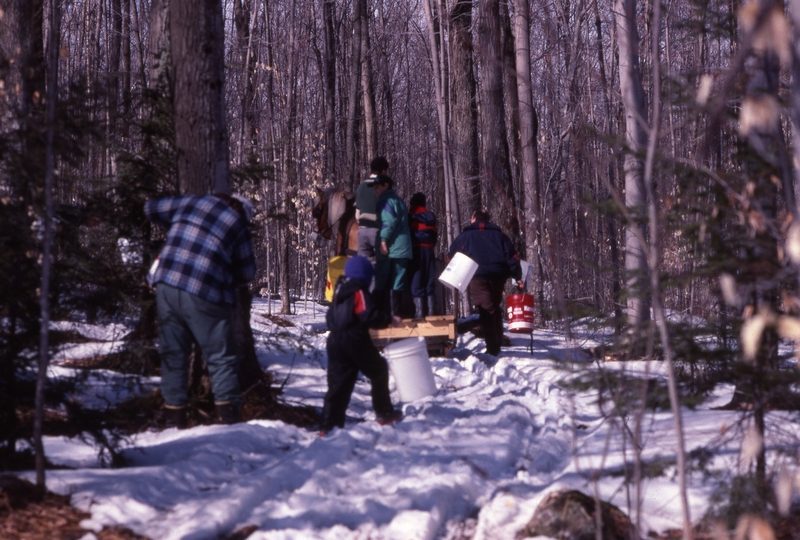 Récolte de l’eau d’érable, années 1990