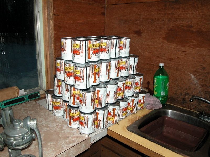 Cabane familiale, saison 2003