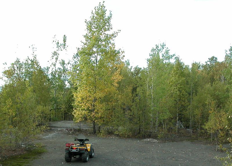 Construction de la cabane publique, 2004–2005