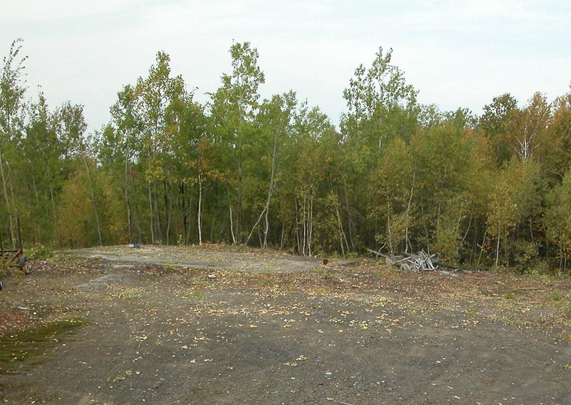 Construction de la cabane publique, 2004–2005